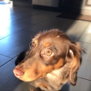 Meet your Posher, Ericka